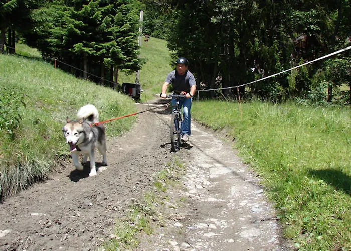 Les Autrichiens - Megève